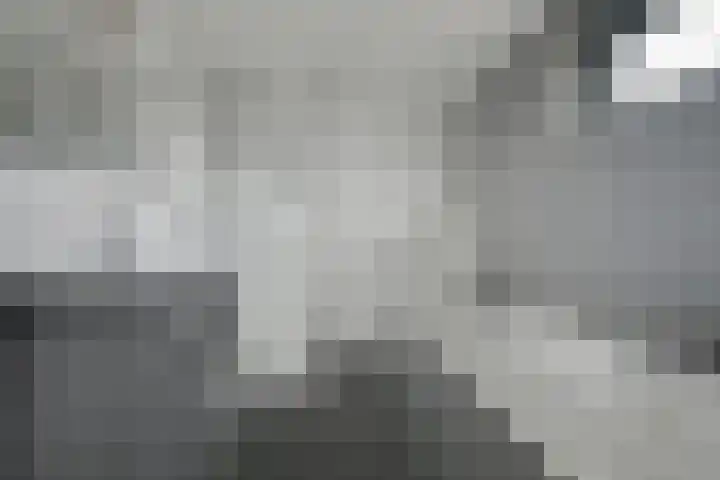 Vennekes 26 Bavel thumbnail 43