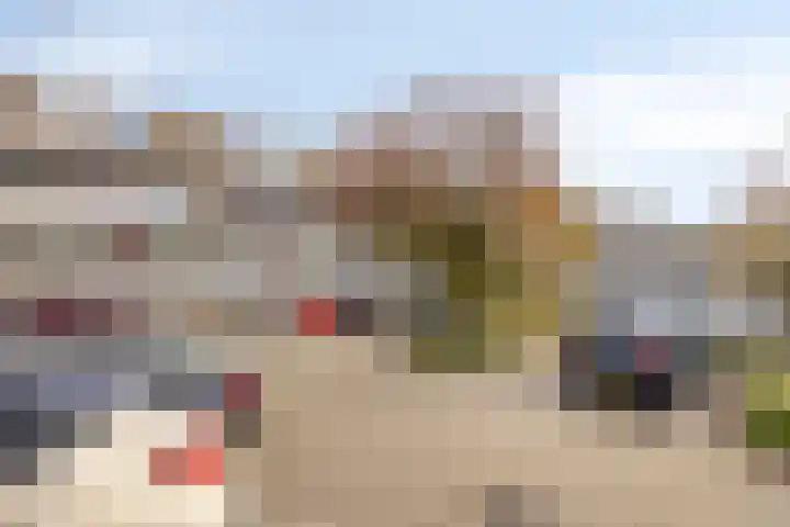 Vennekes 26 Bavel thumbnail 46