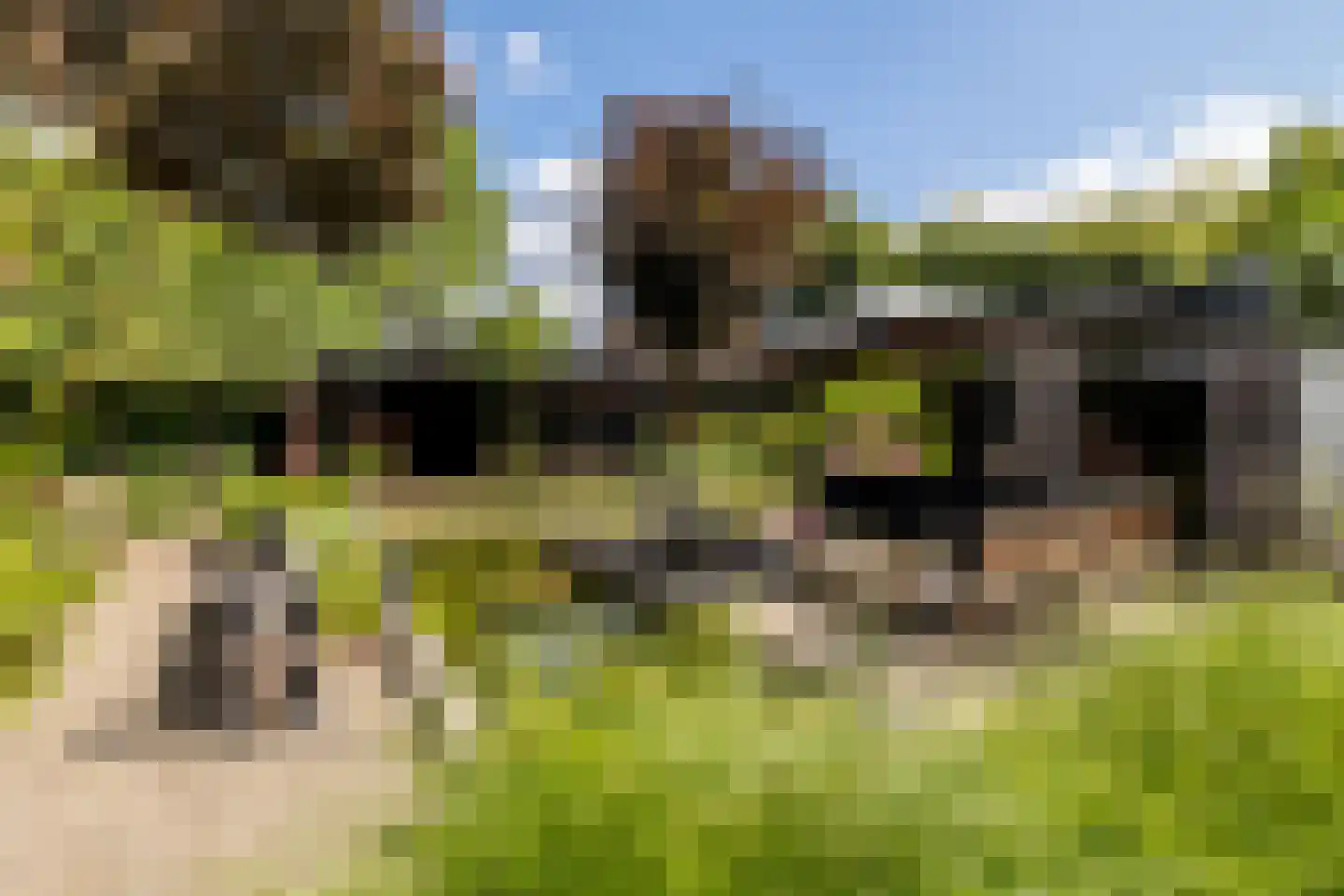 Vennekes 26 Bavel thumbnail 55