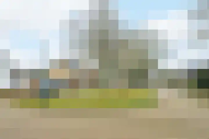 Vennekes 26 Bavel thumbnail 66