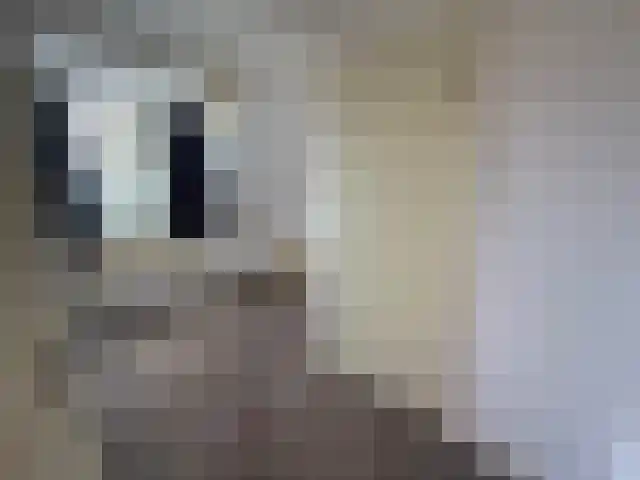 Vennekesgaarden 24 Rijssen thumbnail 10