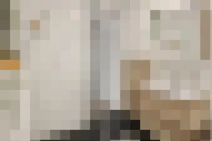 Vennekeshof 27 Deurne thumbnail 24