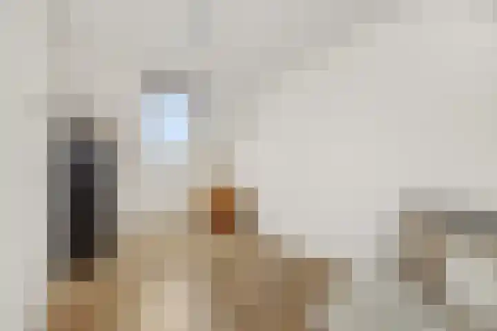 Vennekeshof 27 Deurne thumbnail 26