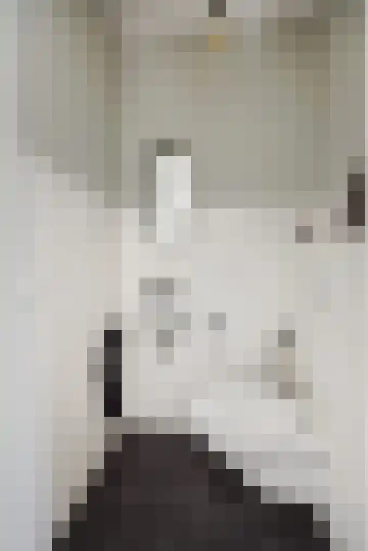 Vennekeshof 27 Deurne thumbnail 8