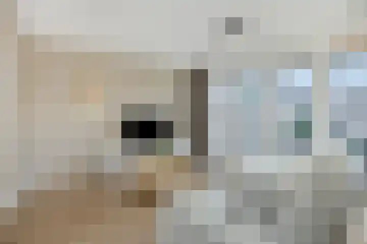Vennekeshof 31 Deurne thumbnail 11