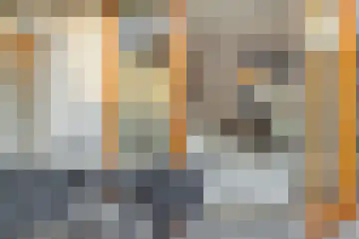 Vennekeshof 31 Deurne thumbnail 12