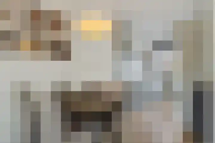 Vennekeshof 31 Deurne thumbnail 15