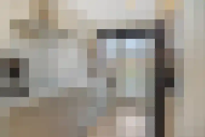 Vennekeshof 31 Deurne thumbnail 16