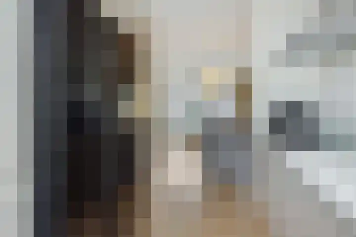 Vennekeshof 31 Deurne thumbnail 17