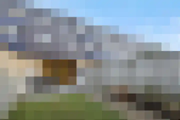 Vennekeshof 31 Deurne thumbnail 31