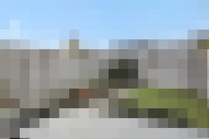 Vennekeshof 31 Deurne thumbnail 4