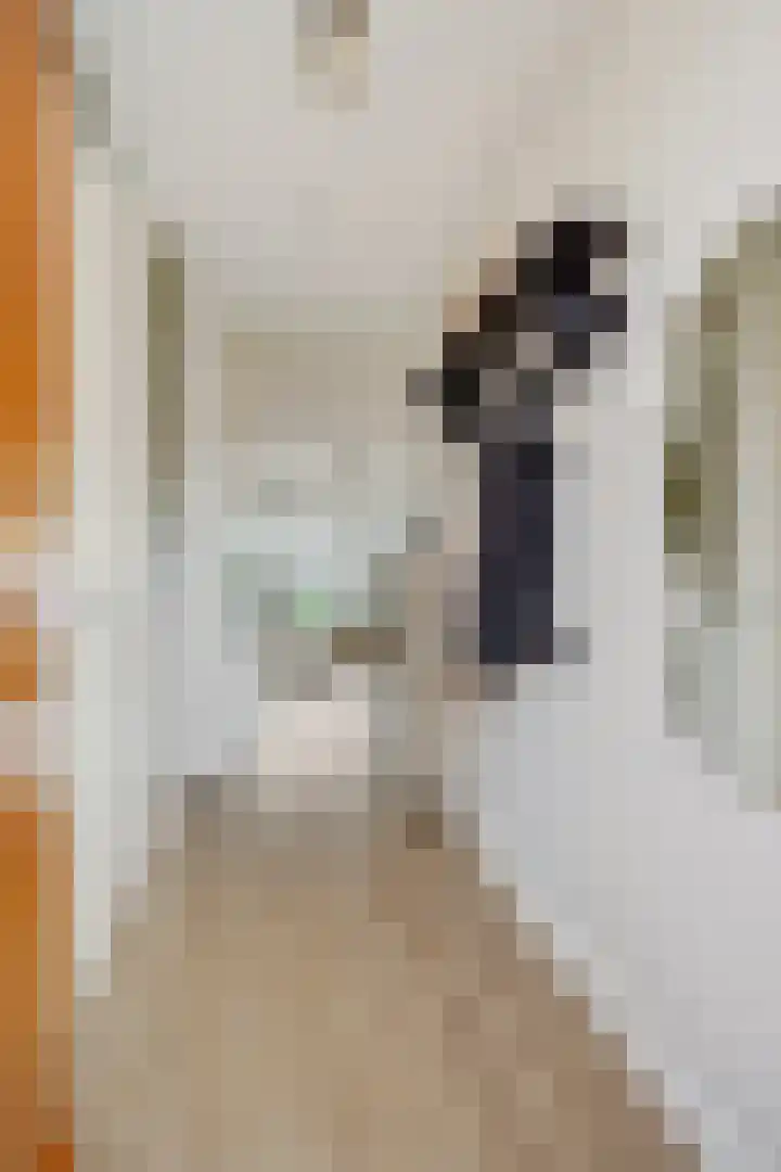 Vennekeshof 31 Deurne thumbnail 8