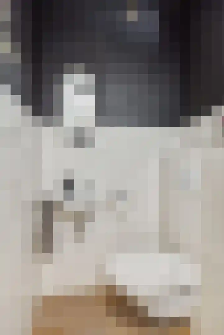 Vennekeshof 31 Deurne thumbnail 9