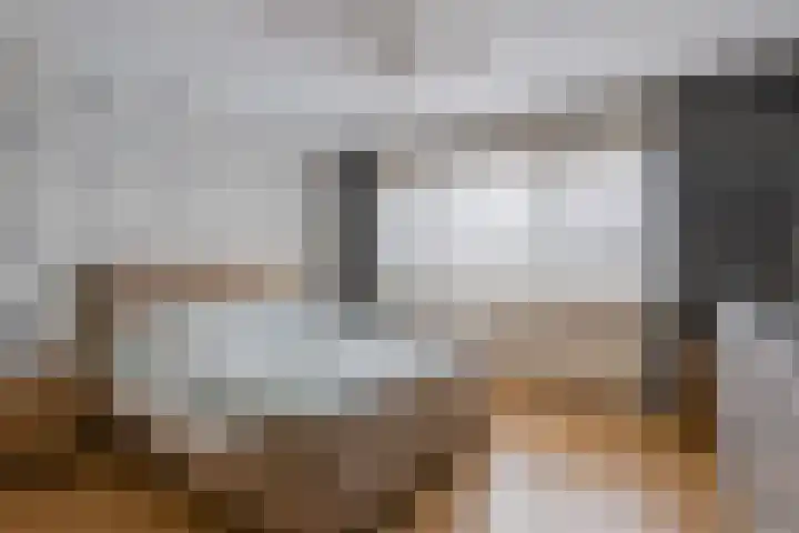 Vennekesweg 4 Markelo thumbnail 13