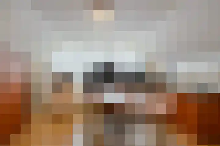 Vennekesweg 4 Markelo thumbnail 23
