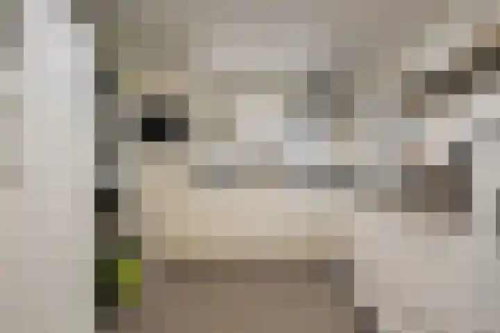 Vennekesweg 4 Markelo thumbnail 26