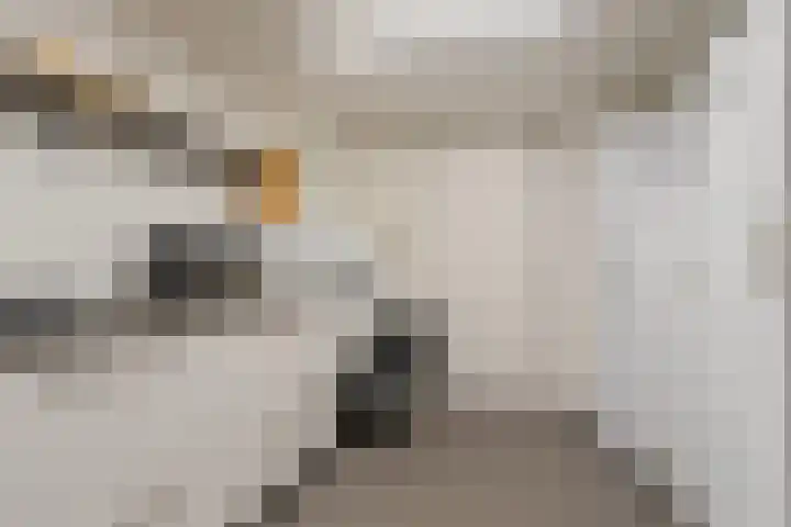 Vennekesweg 4 Markelo thumbnail 27