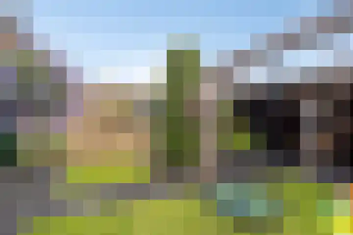 Vennekesweg 4 Markelo thumbnail 30