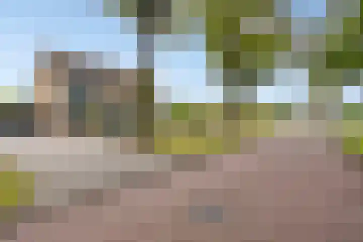 Vennekesweg 4 Markelo thumbnail 38