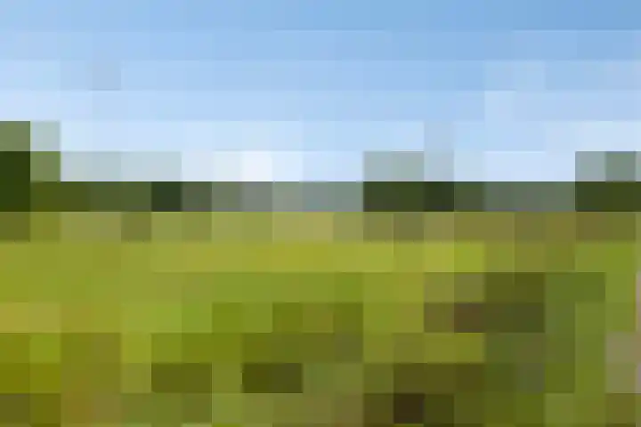 Vennekesweg 4 Markelo thumbnail 39