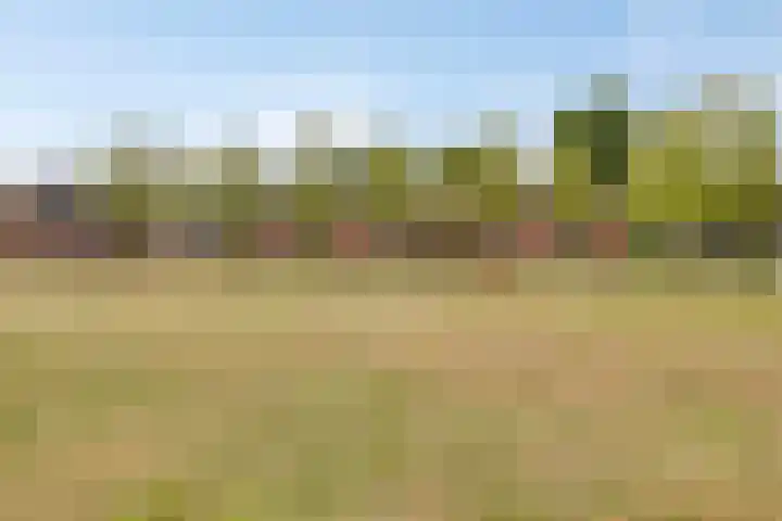 Vennekesweg 4 Markelo thumbnail 40