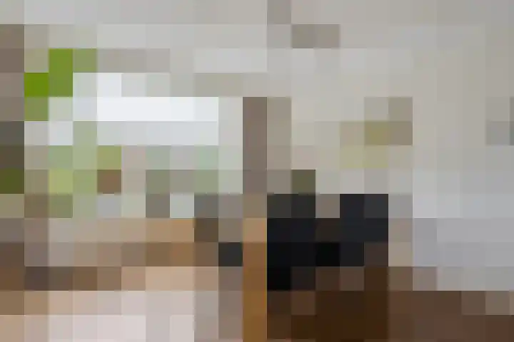 Vennekesweg 4 Markelo thumbnail 5