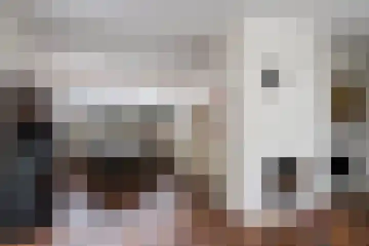 Vennekesweg 9 Markelo thumbnail 15