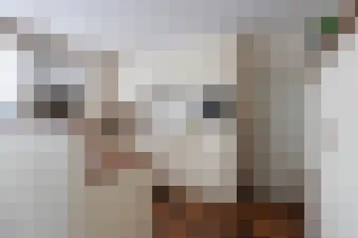 Vennekesweg 9 Markelo thumbnail 16