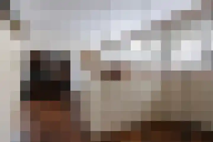 Vennekesweg 9 Markelo thumbnail 17