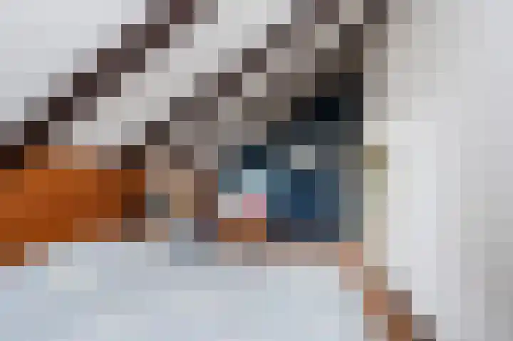 Vennekesweg 9 Markelo thumbnail 31