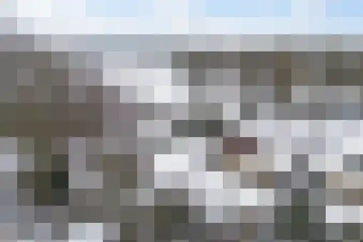 Vennekesweg 9 Markelo thumbnail 35