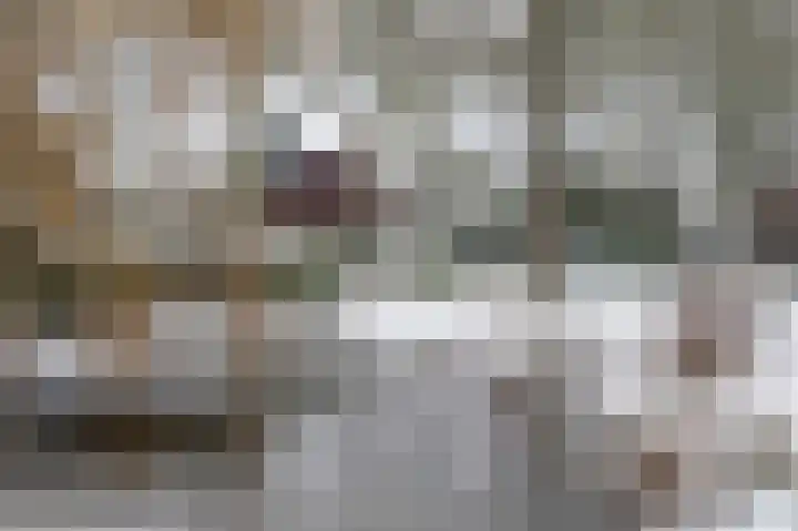 Vennekesweg 9 Markelo thumbnail 36