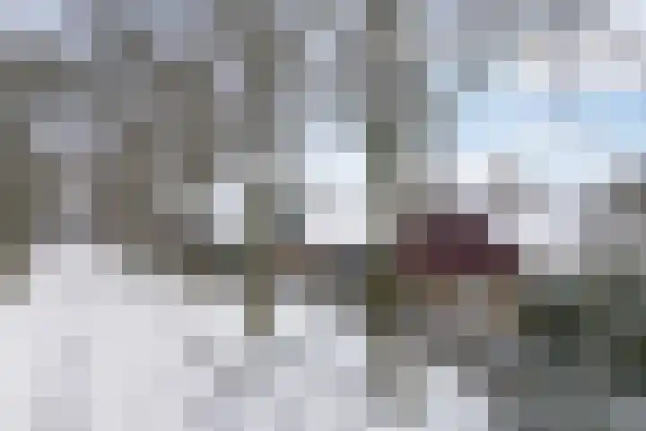 Vennekesweg 9 Markelo thumbnail 37