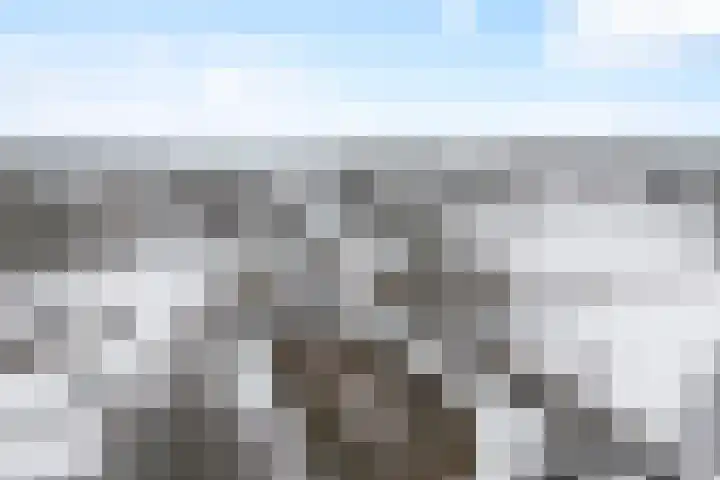 Vennekesweg 9 Markelo thumbnail 38