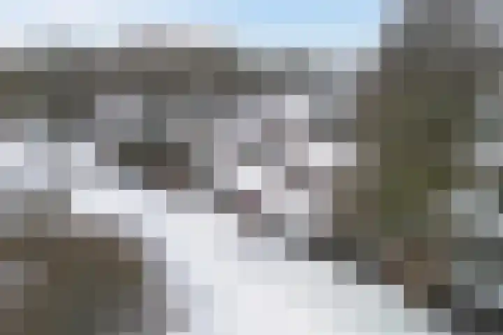 Vennekesweg 9 Markelo thumbnail 40
