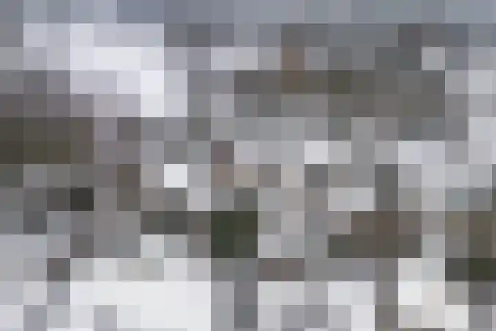 Vennekesweg 9 Markelo thumbnail 43