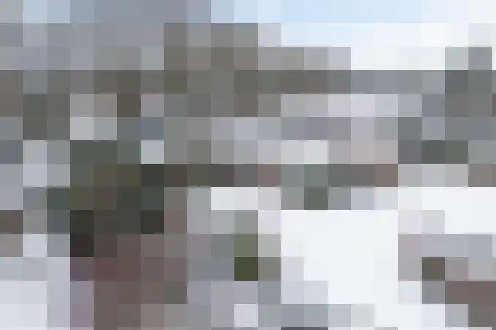 Vennekesweg 9 Markelo thumbnail 46