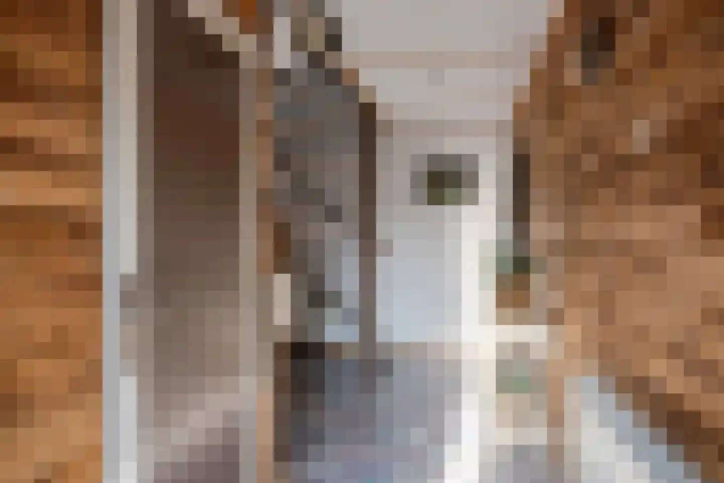 Vennemanshoek 5 Olst thumbnail 15