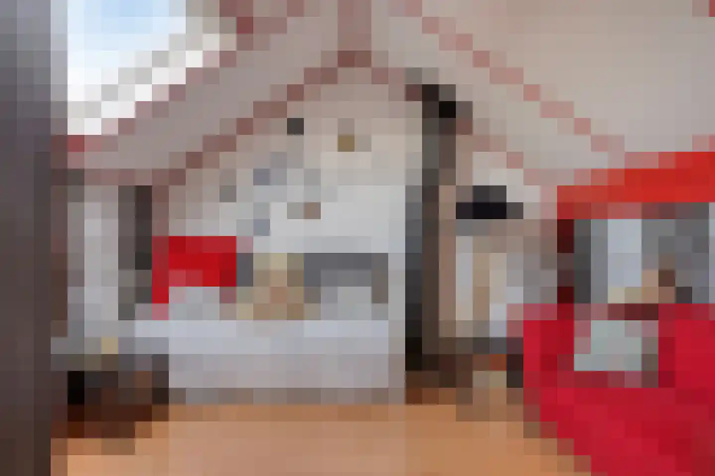 Vennemanshoek 5 Olst thumbnail 26