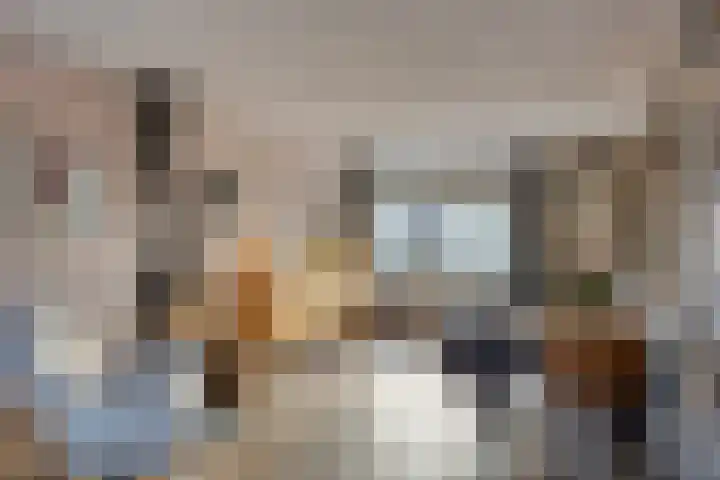 Vennemanshoek 5 Olst thumbnail 7