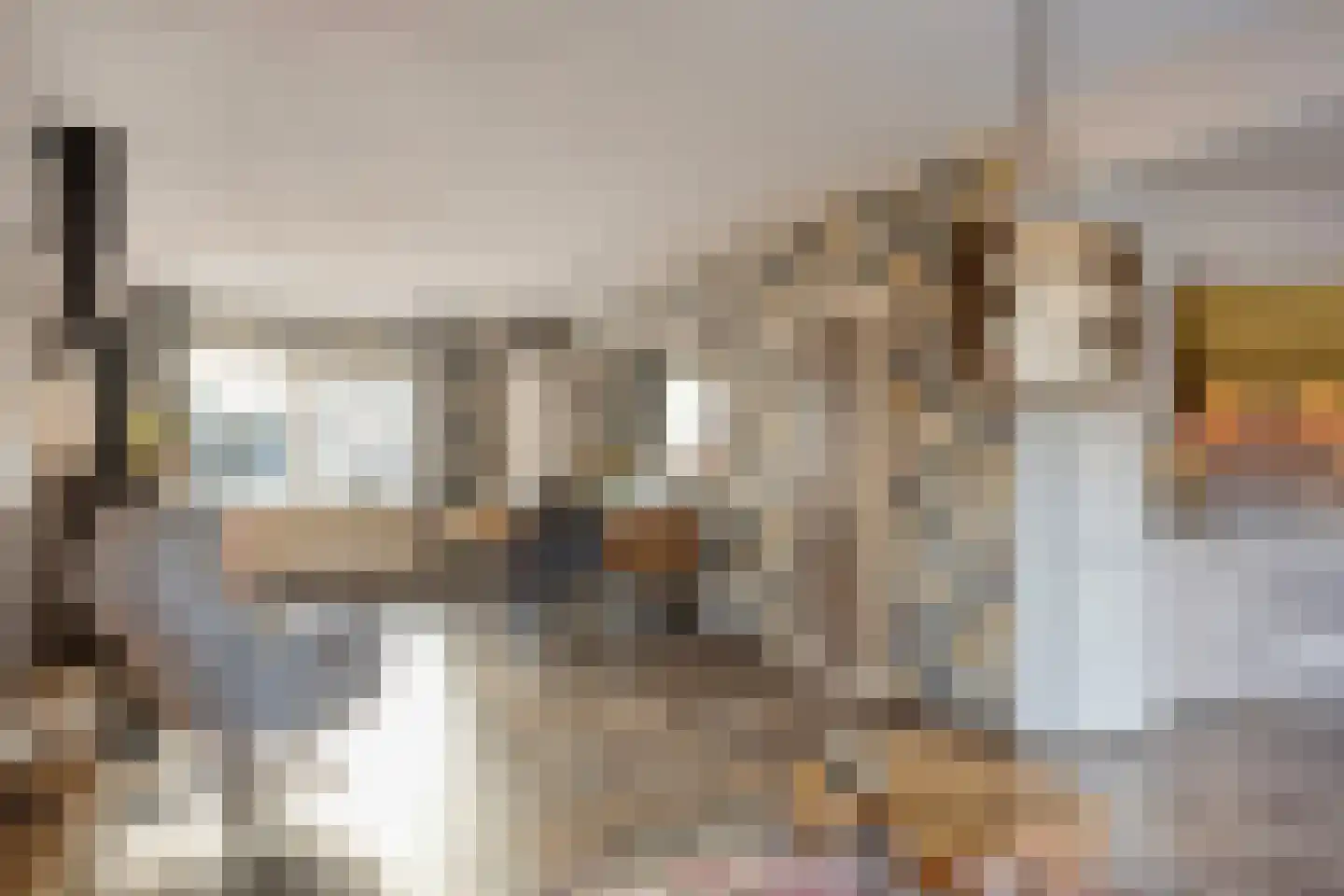 Vennemanshoek 5 Olst thumbnail 8