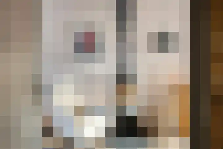 Vennemanshoek 5 Olst thumbnail 8