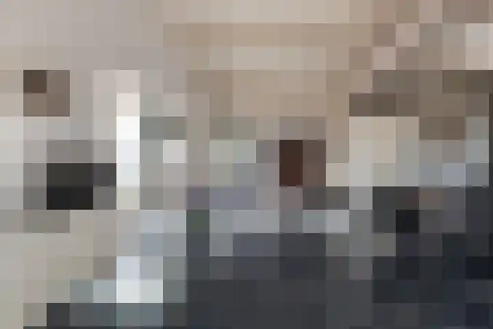 Vennemeer 15 Oud Ade thumbnail 13