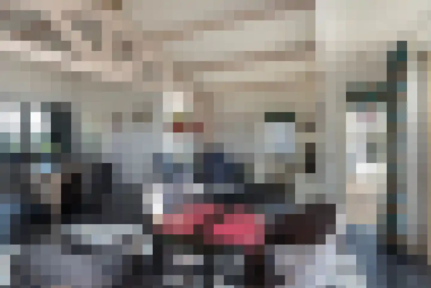 Vennemeer 15 Oud Ade thumbnail 14