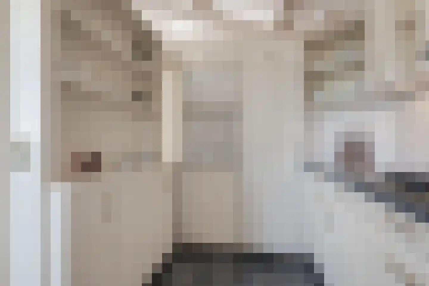 Vennemeer 15 Oud Ade thumbnail 17