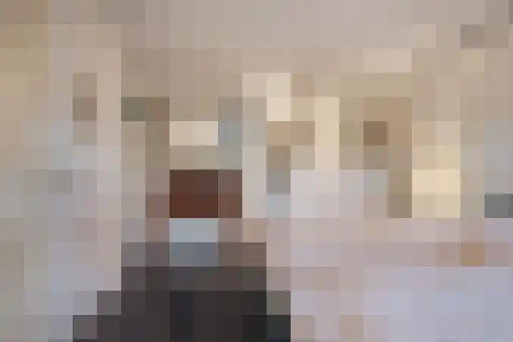Vennemeer 15 Oud Ade thumbnail 20