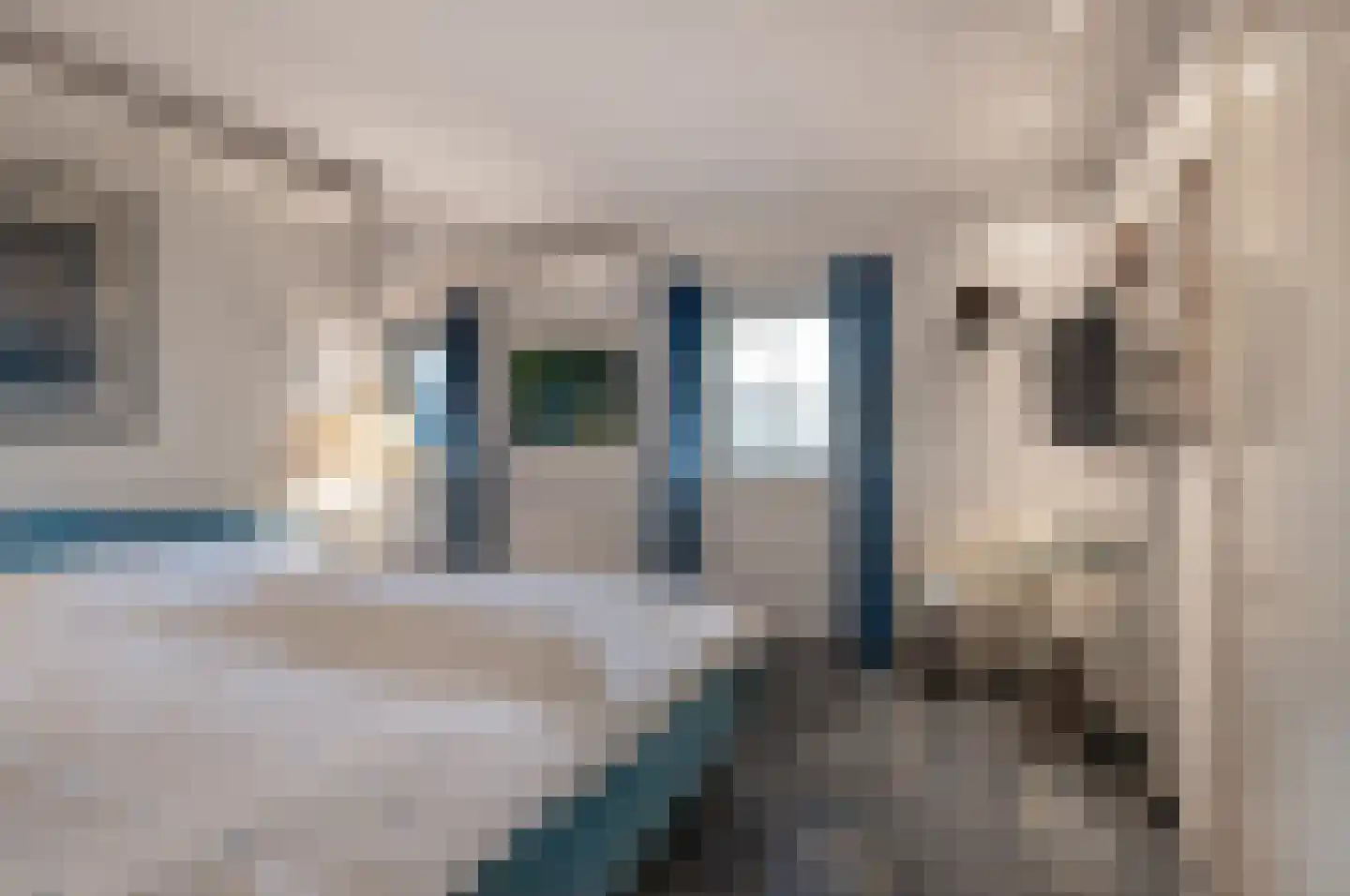 Vennemeer 15 Oud Ade thumbnail 21