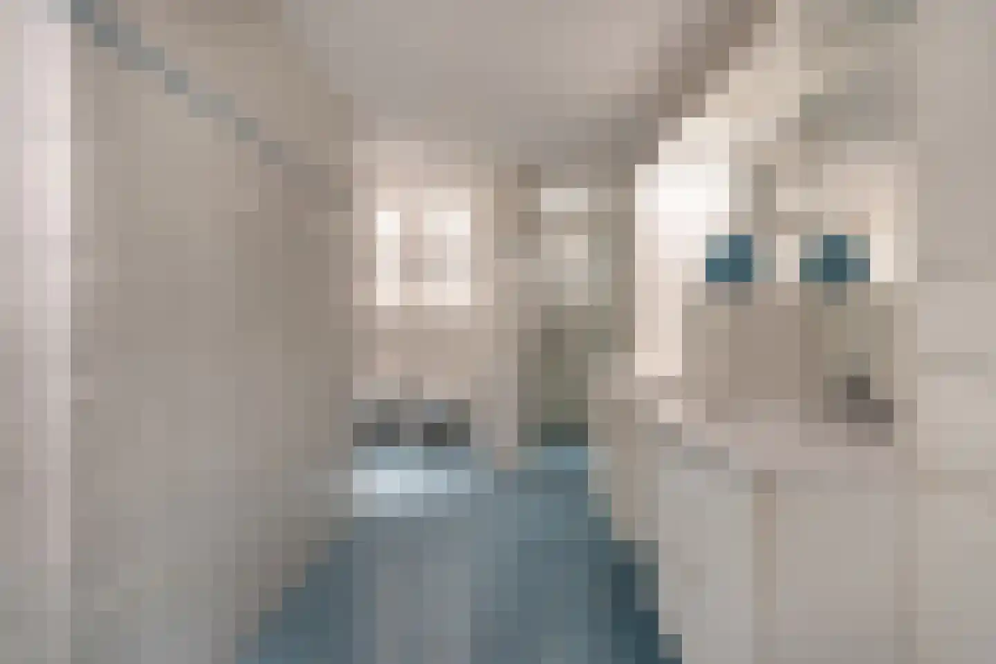 Vennemeer 15 Oud Ade thumbnail 23
