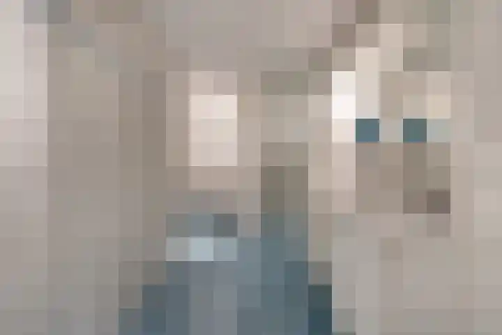 Vennemeer 15 Oud Ade thumbnail 23
