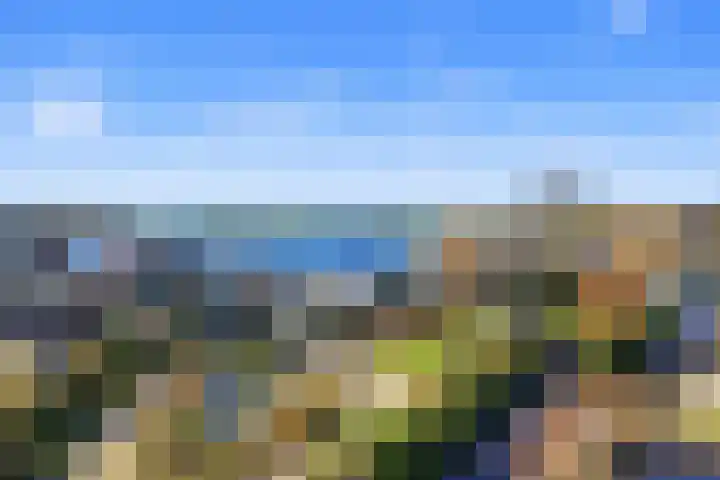 Vennemeer 15 Oud Ade thumbnail 26